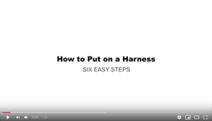 How to Put on a Harness - 6 Steps - Video